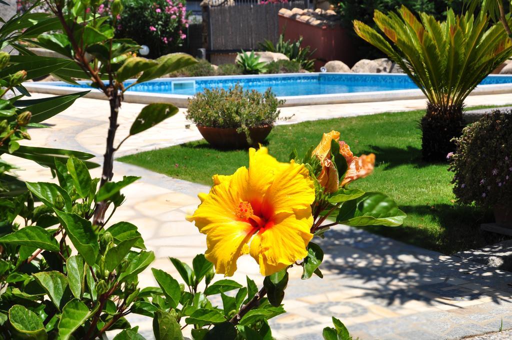 فيلاّسيمِيوس B&B I Graniti Sardi المظهر الخارجي الصورة